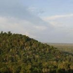 Ini 10 Destinasi Liburan Menarik di Palangkaraya, Cocok bagi Pencinta Alam